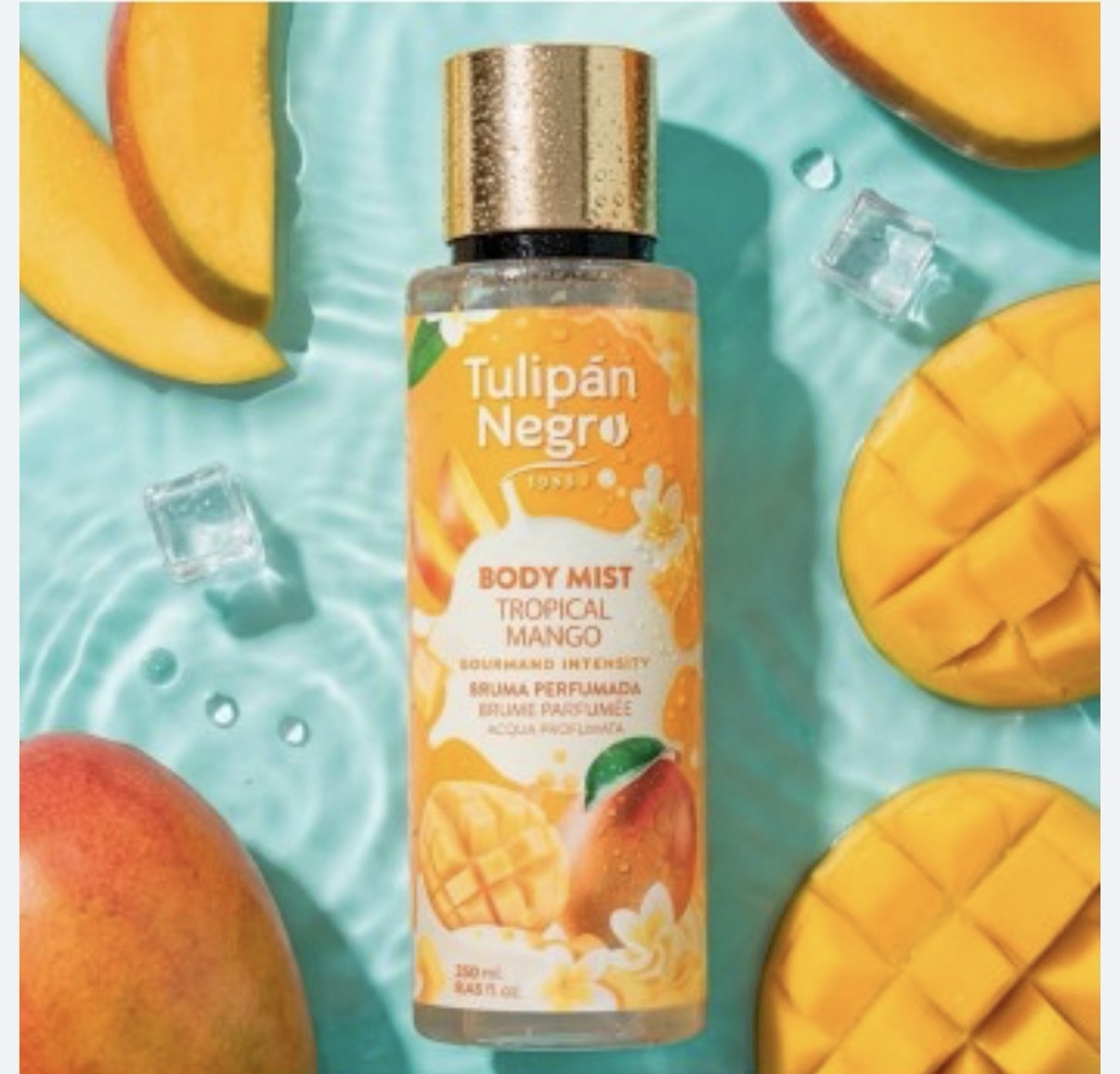 BRUMA TULIPAN NEGRO MANGO