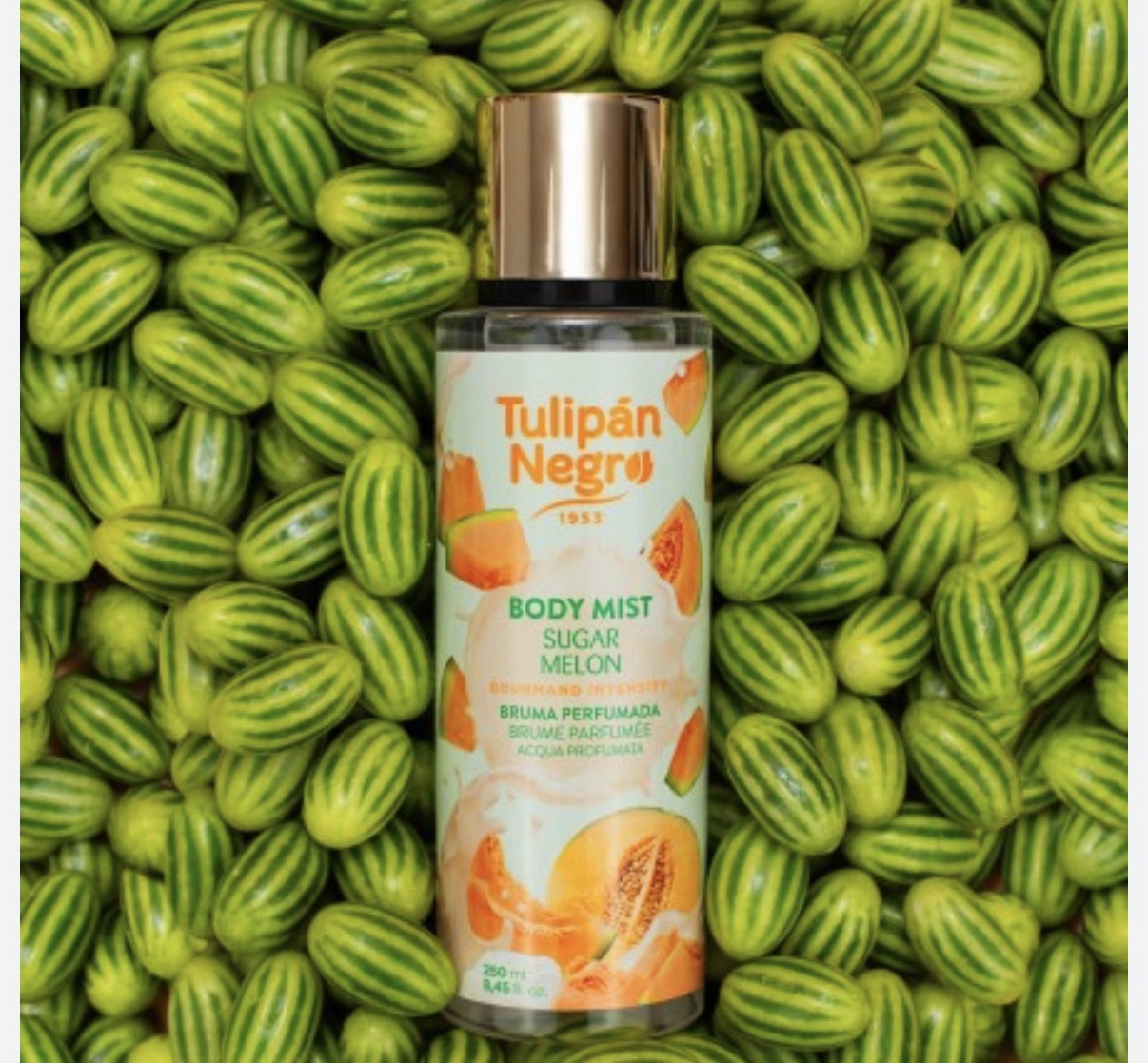 BRUMA TULIPAN  NEGRO MELON